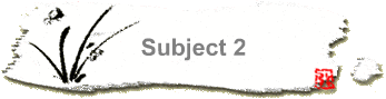 Subject 2